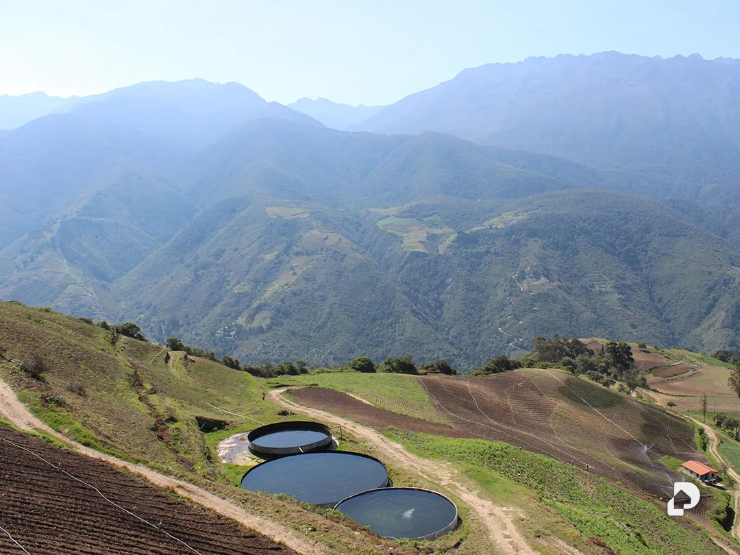 Finca en Cacute Alto, Cacute