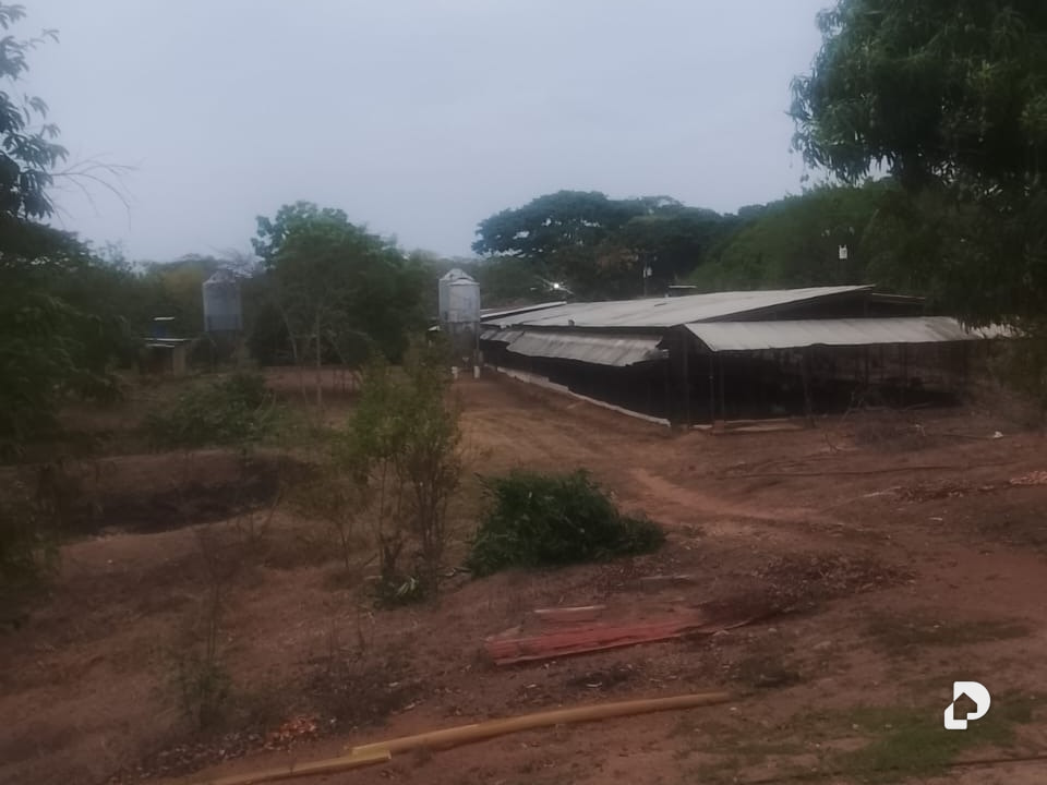 Finca en Tinaco