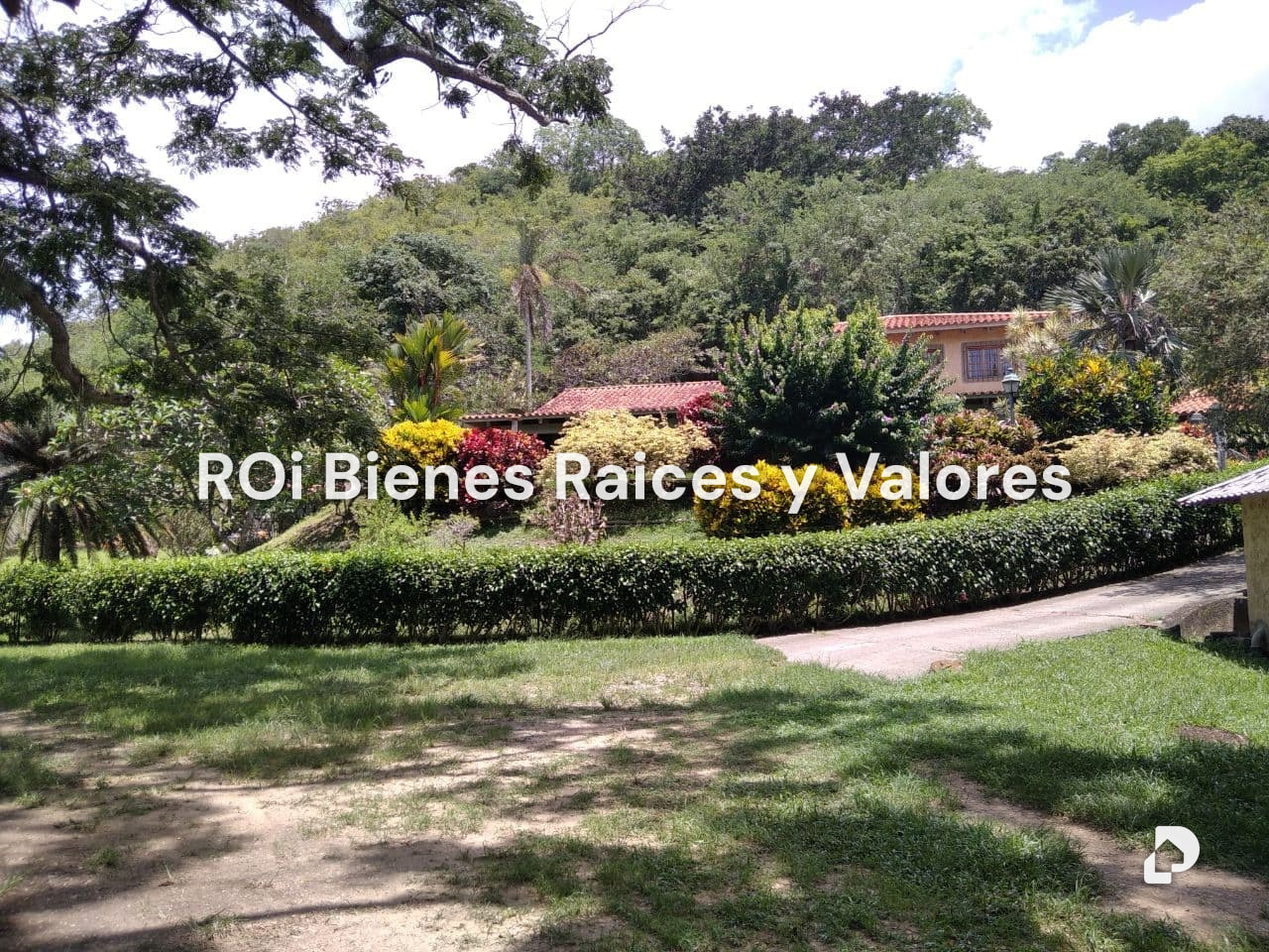 Finca en Bejuma