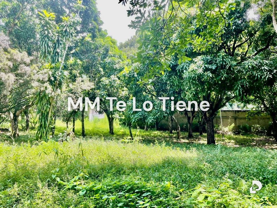 Terreno en Los Chorros, Caracas