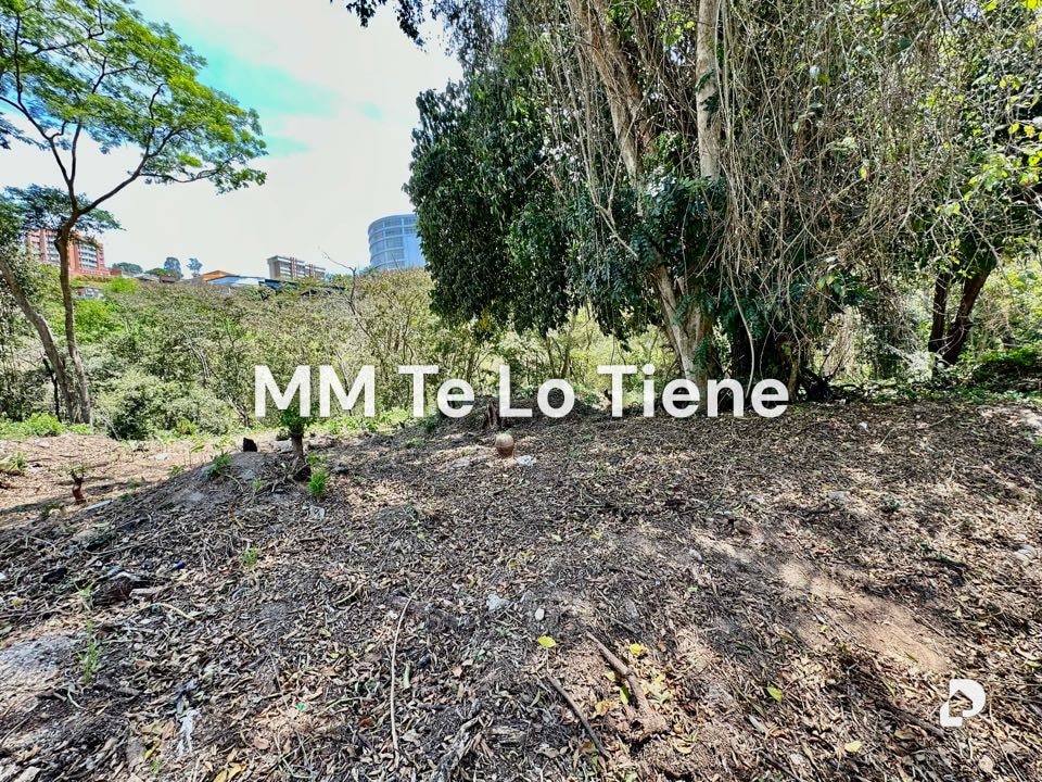 Terreno en Cerro Verde, Caracas