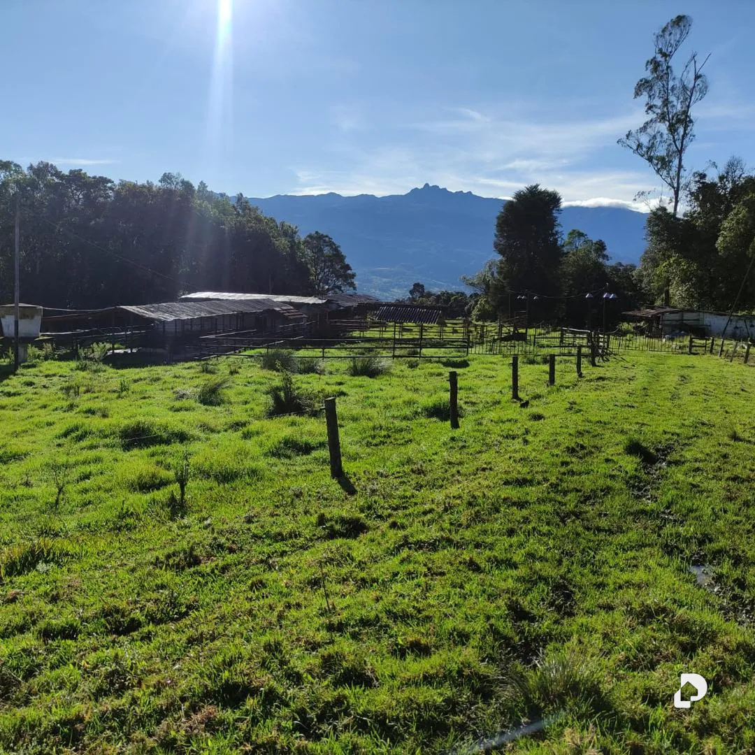 Finca en La Azulita