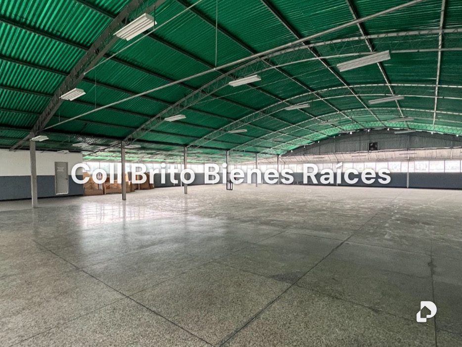 Galpón en Los Ruices, Caracas