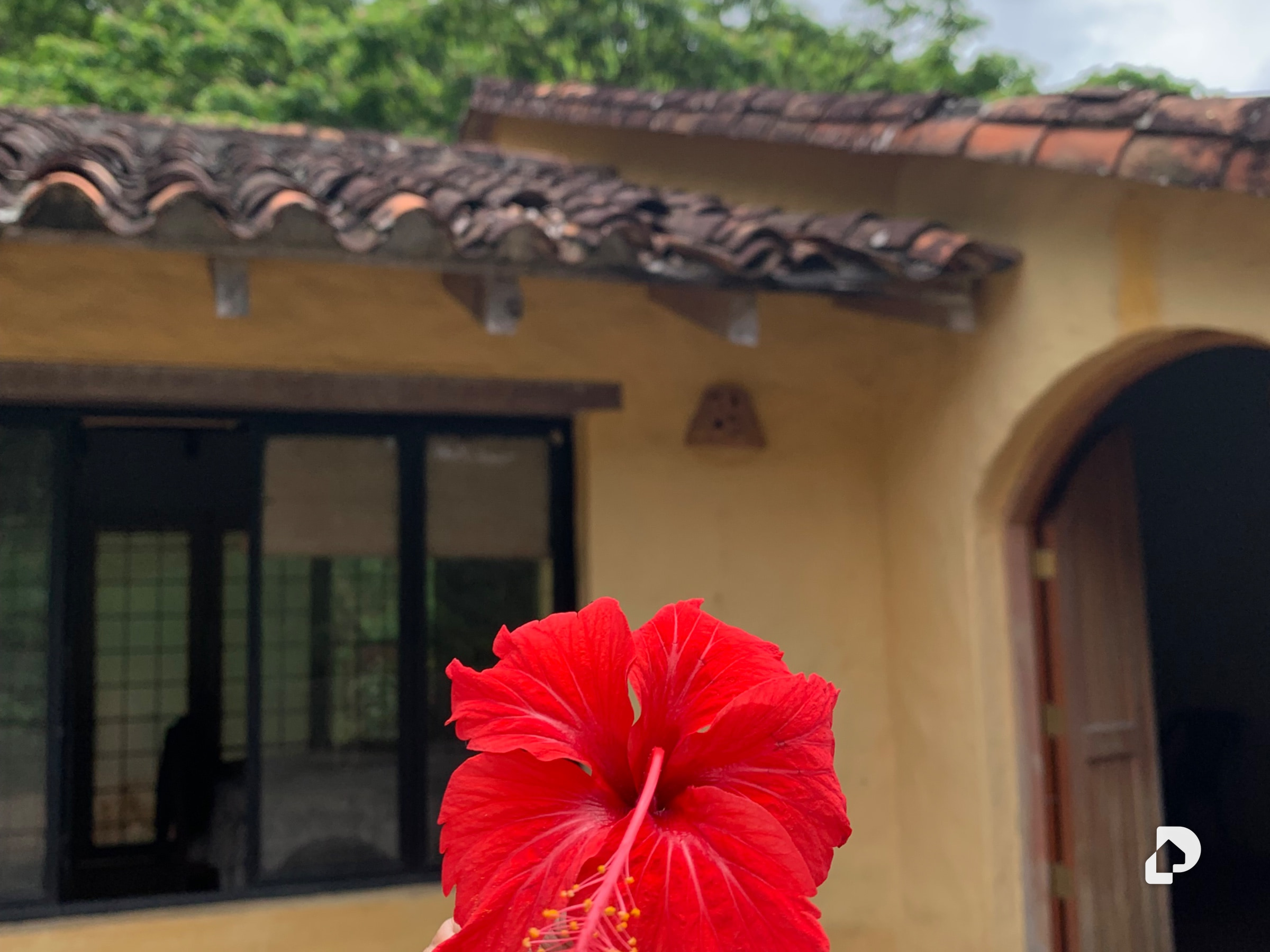 Finca en El Penon