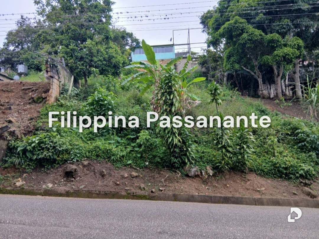 Terreno en El Copey, Caripe