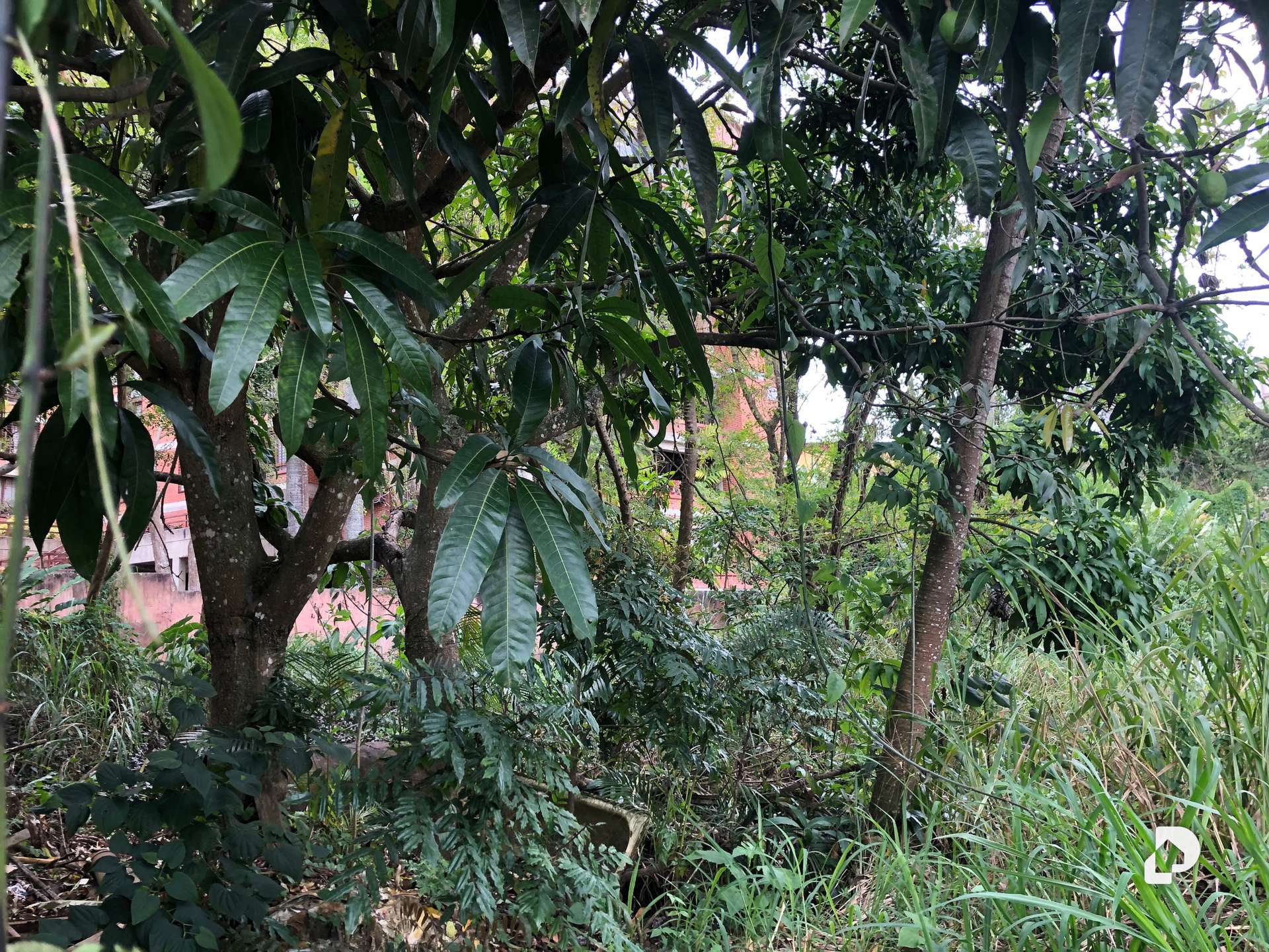 Land in La Boyera, Caracas – 2
