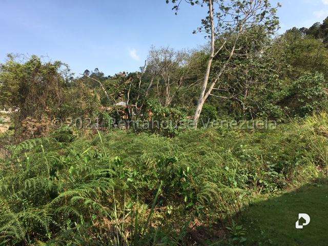 Terreno en Caracas – 14