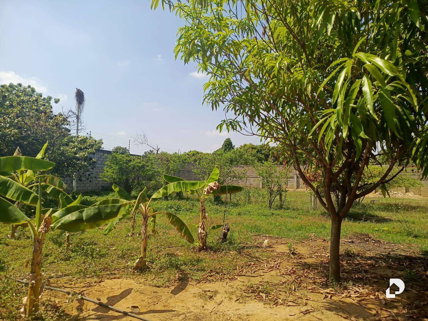 Terreno en Barrio Independencia, Maracaibo – 9
