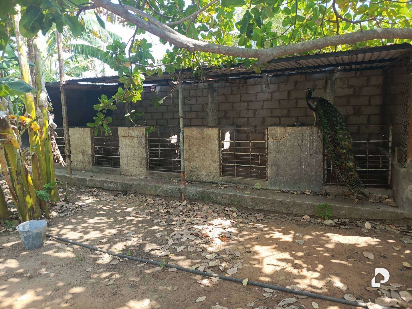 Terreno en Barrio Independencia, Maracaibo – 8