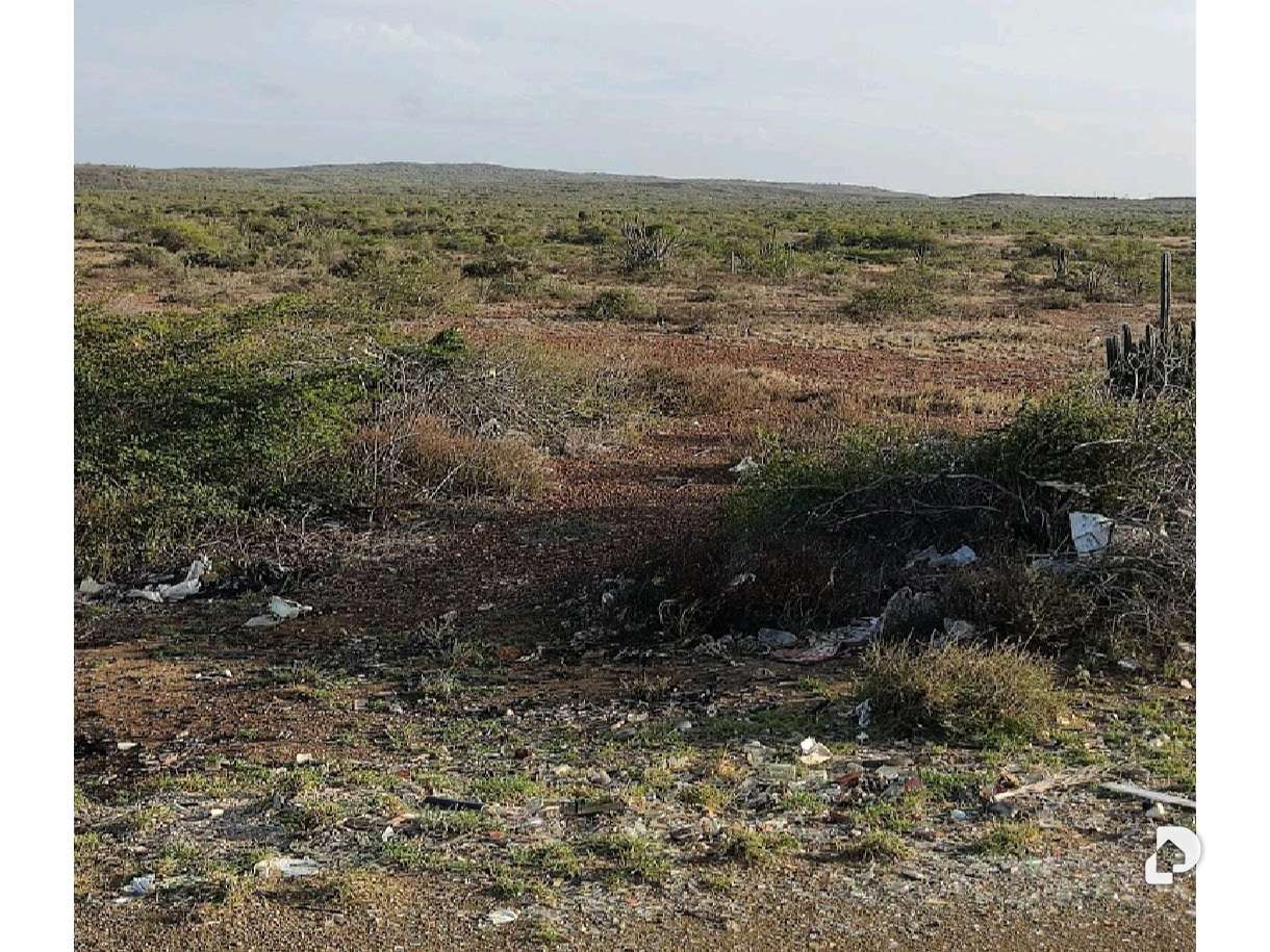 Terreno en Los Bagres, Díaz – 8