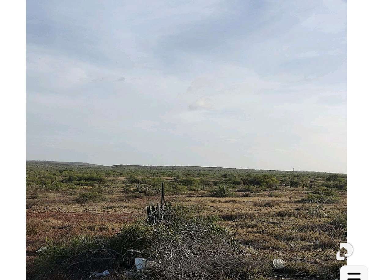 Terreno en Los Bagres, Díaz – 7
