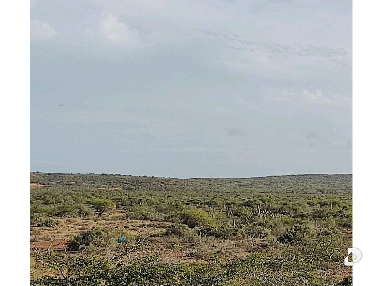 Terreno en Los Bagres, Díaz – 5