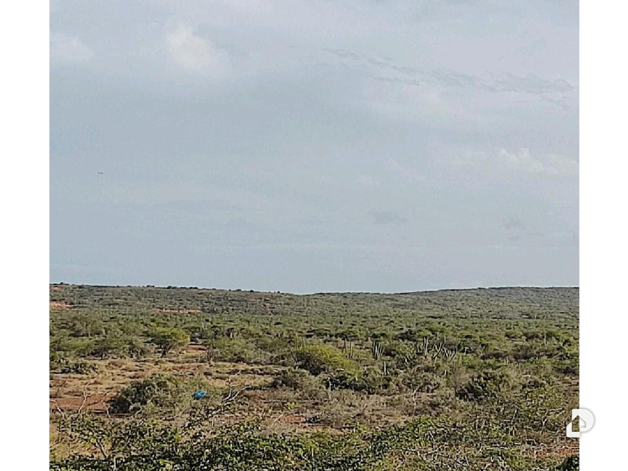Terreno en Los Bagres, Díaz – 5