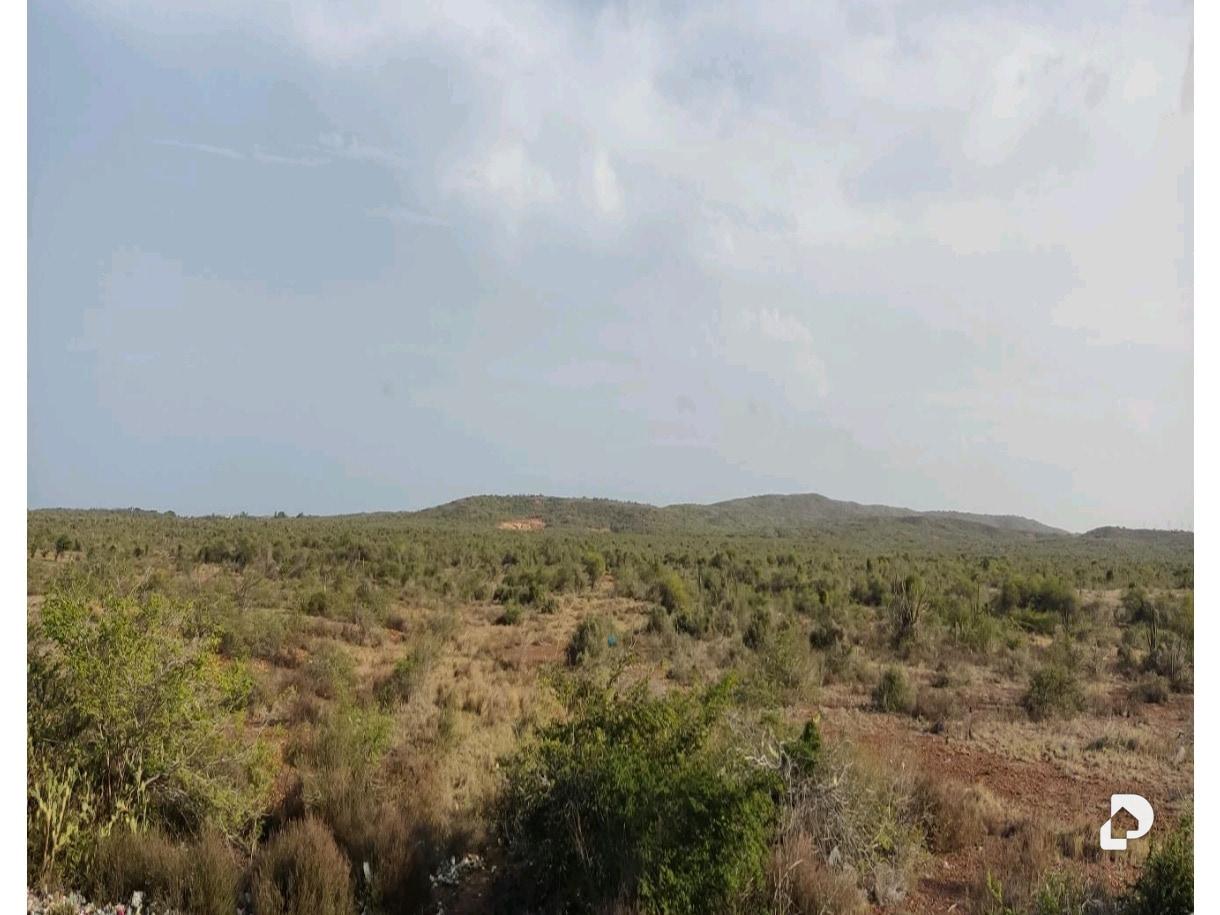 Terreno en Los Bagres, Díaz – 4