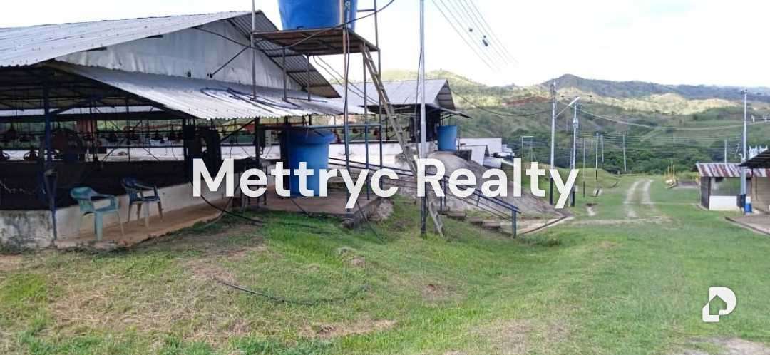 Finca en Las Mercedes Country, Tinaquillo – 2