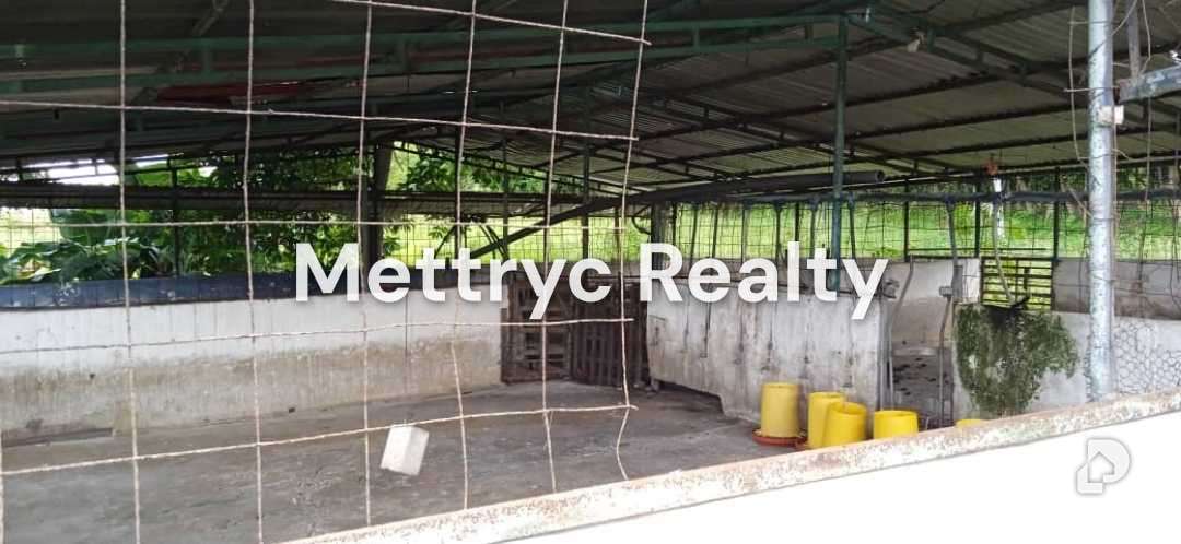 Finca en Las Mercedes Country, Tinaquillo – 20