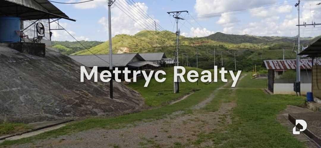 Finca en Las Mercedes Country, Tinaquillo – 1
