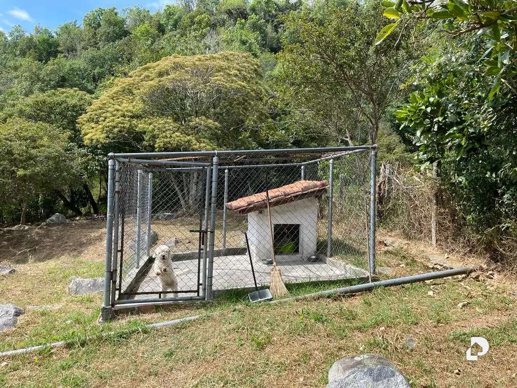 Finca en Monterrey, Gonzalo Picón Febres – 48