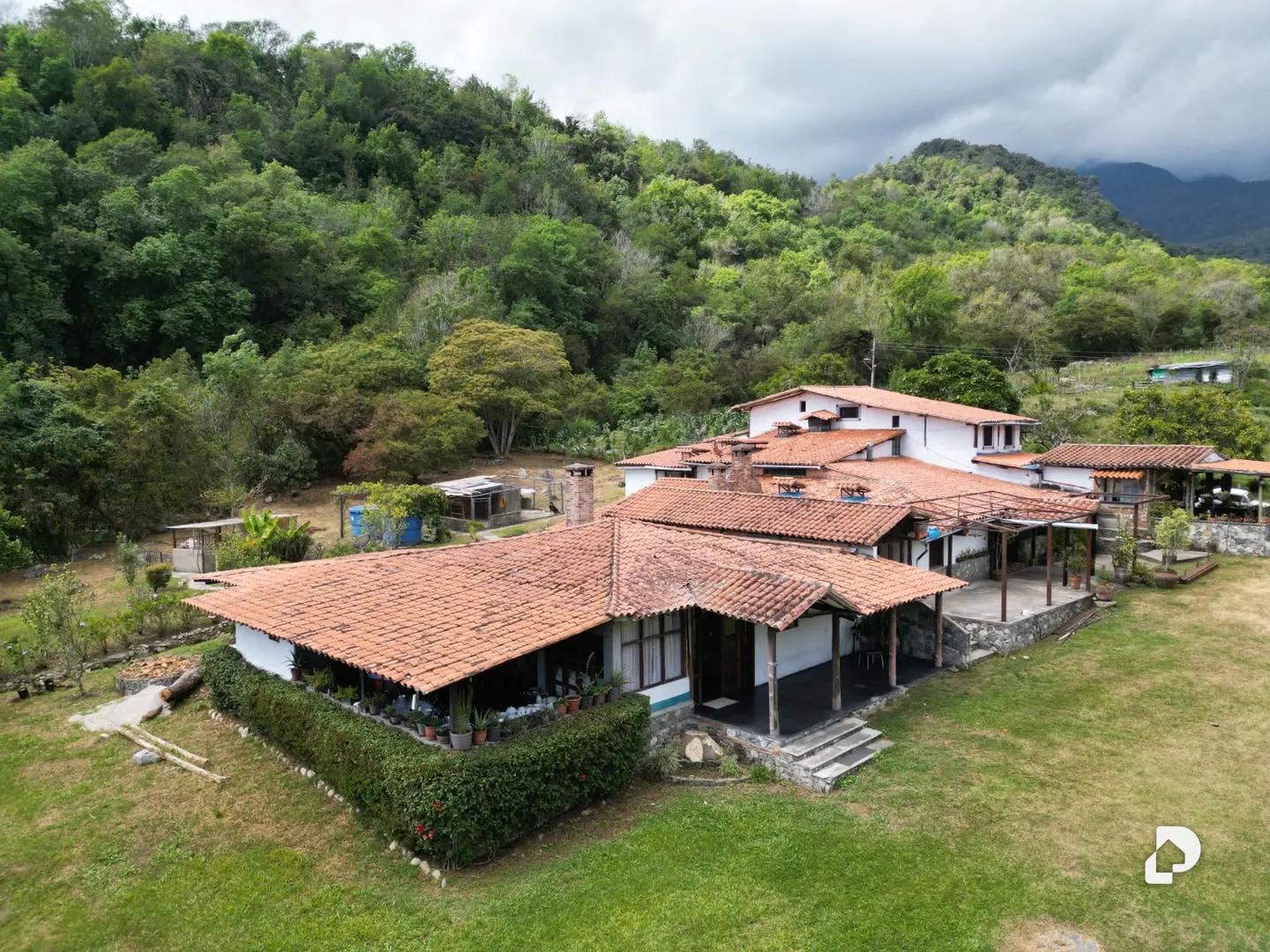 Finca en Monterrey, Gonzalo Picón Febres – 3
