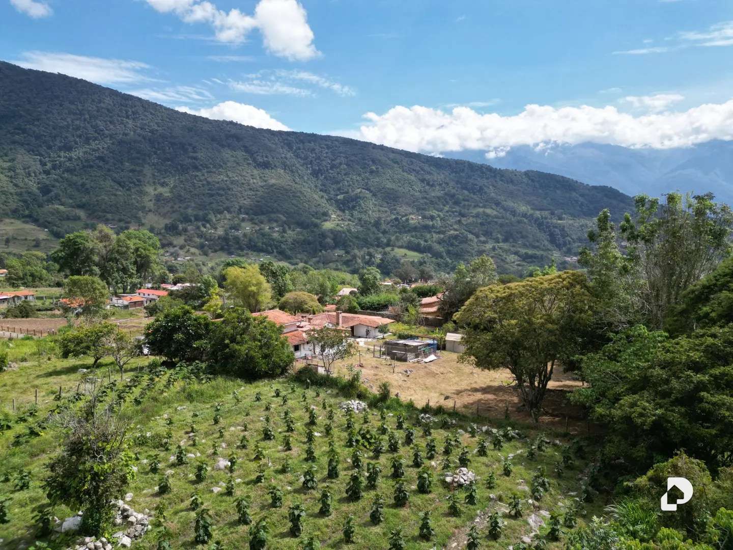 Finca en Monterrey, Gonzalo Picón Febres – 51