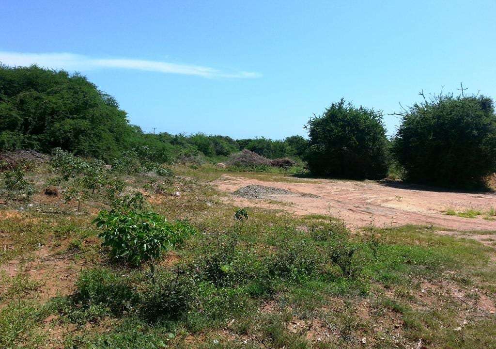 Apartamento en La Mira, Margarita (noreste) - 1