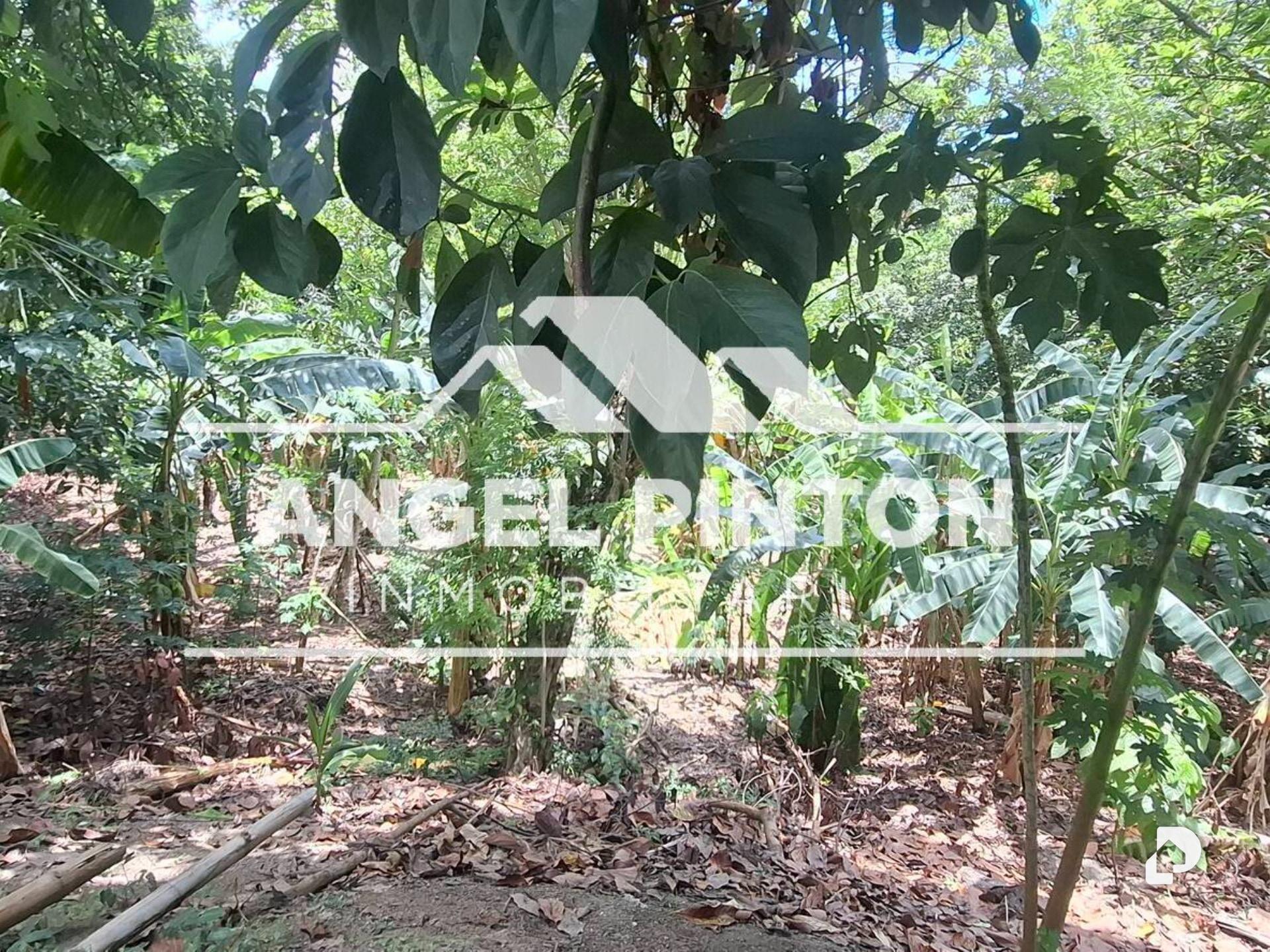 Finca en Caja Seca – 5