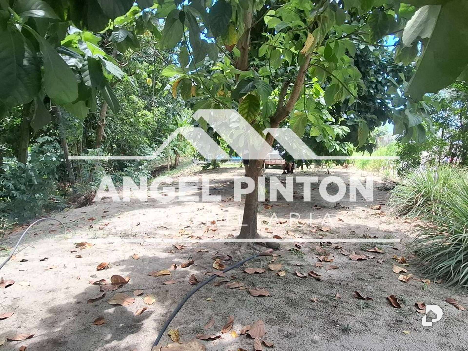 Finca en Caja Seca – 4