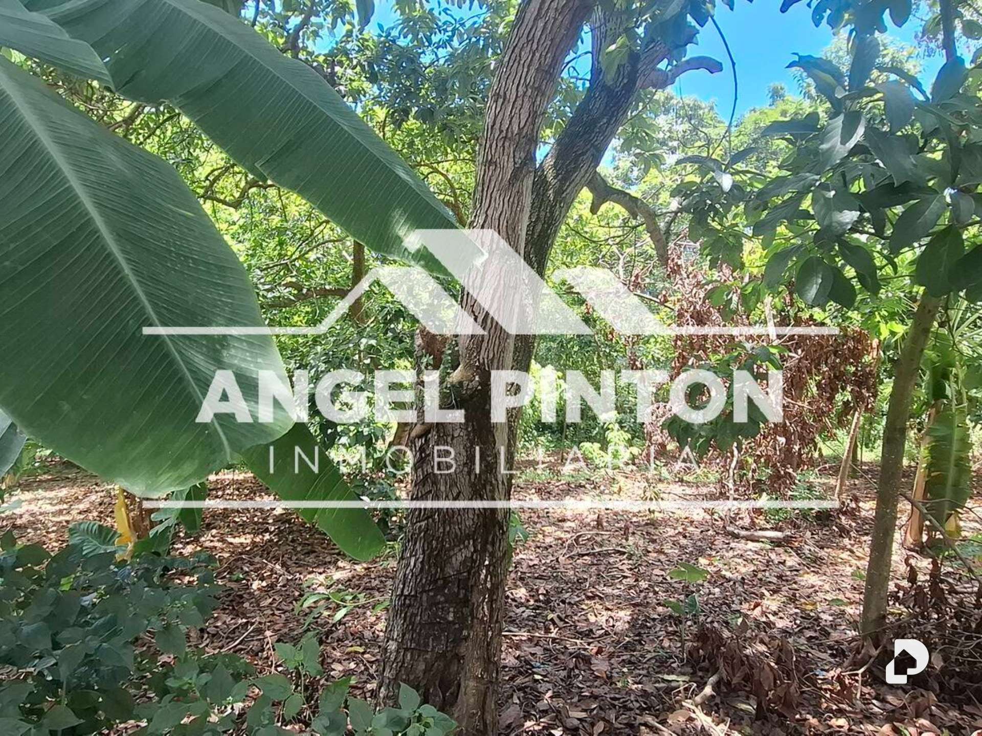 Finca en Caja Seca – 6