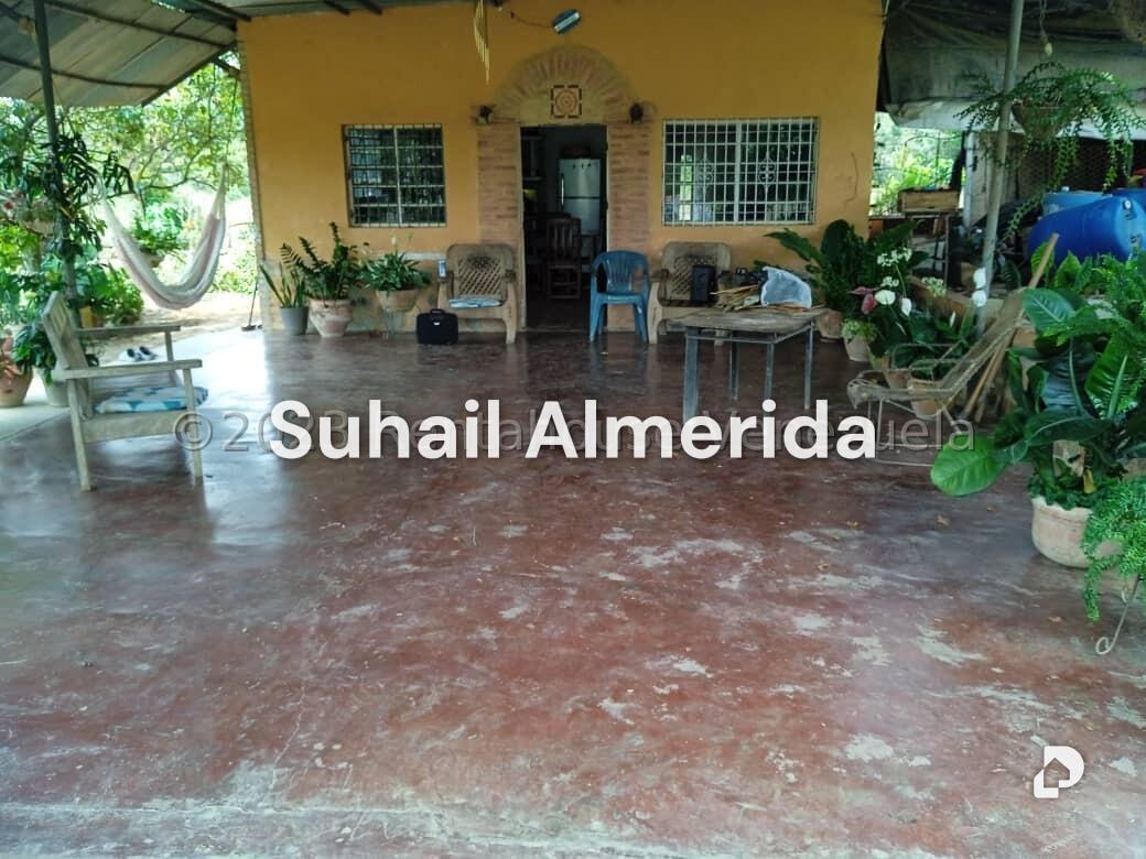 Finca en Bejuma – 4