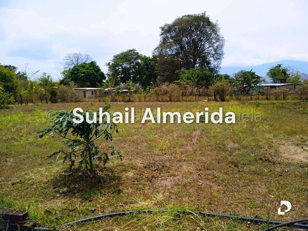 Finca en Bejuma – 2