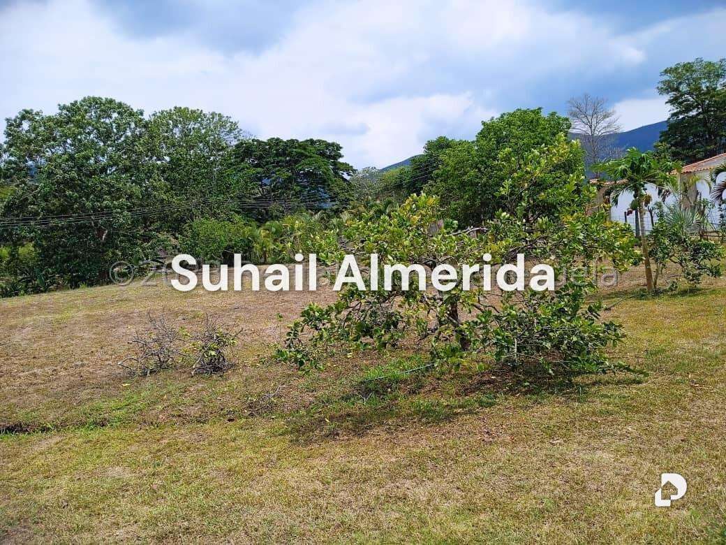 Finca en Bejuma – 15