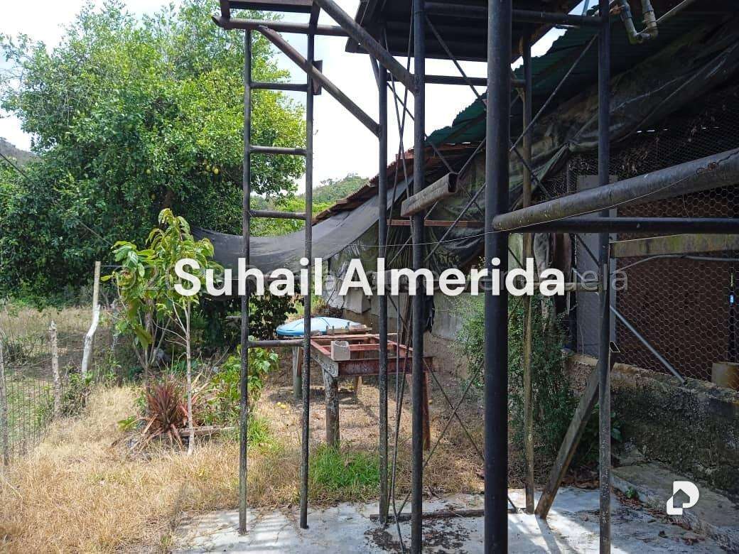 Finca en Bejuma – 14