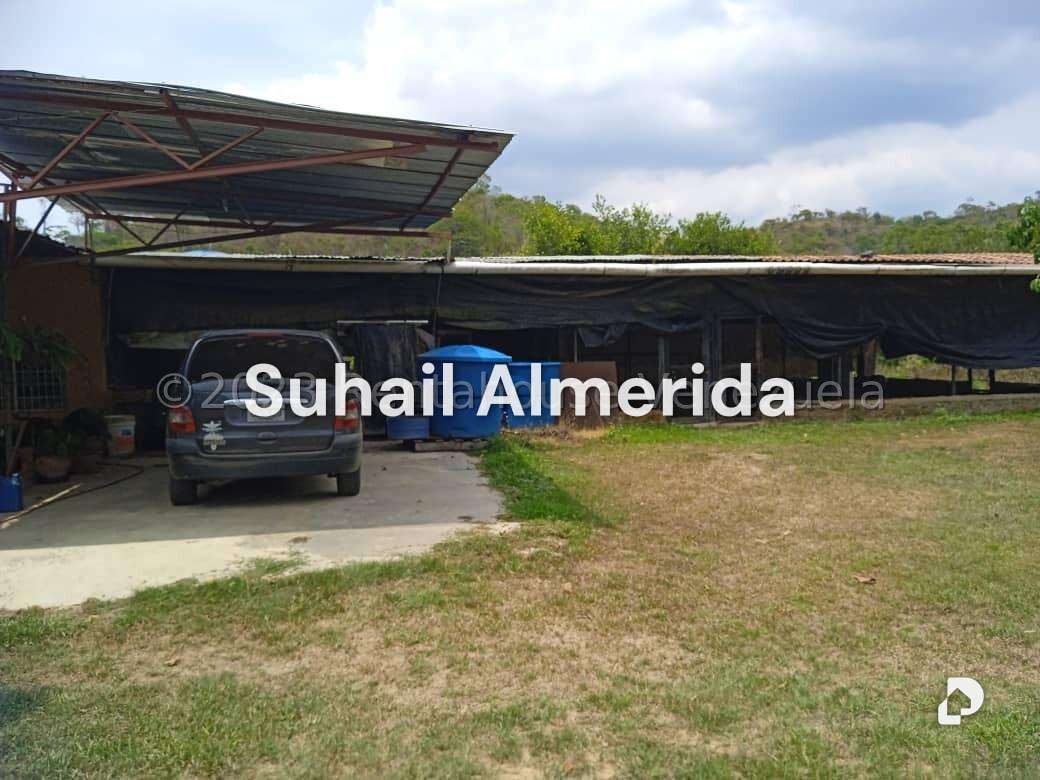 Finca en Bejuma – 6