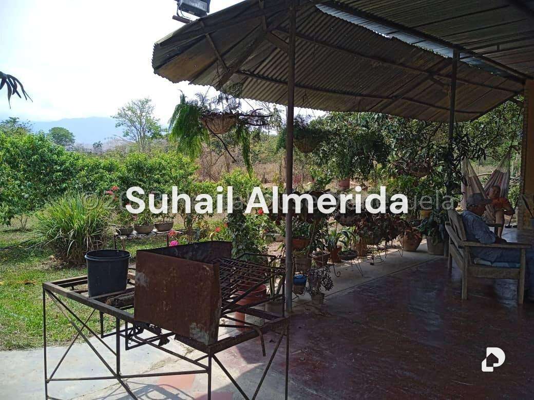 Finca en Bejuma – 10