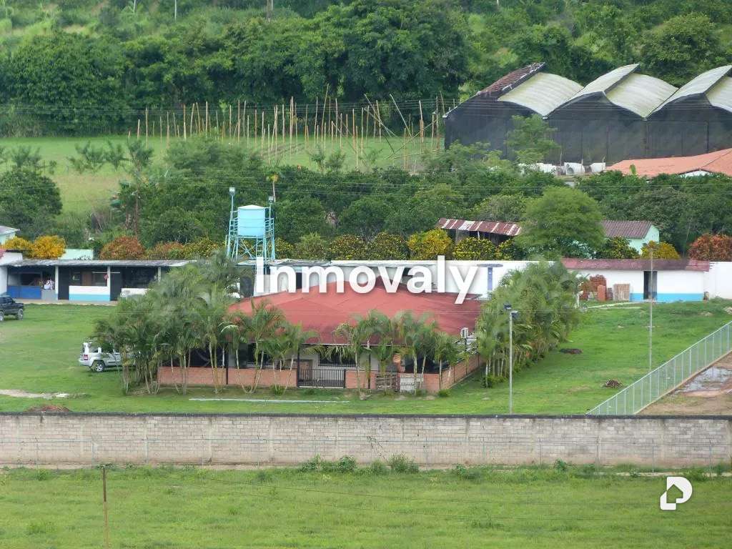 Finca en Montalbán – 1