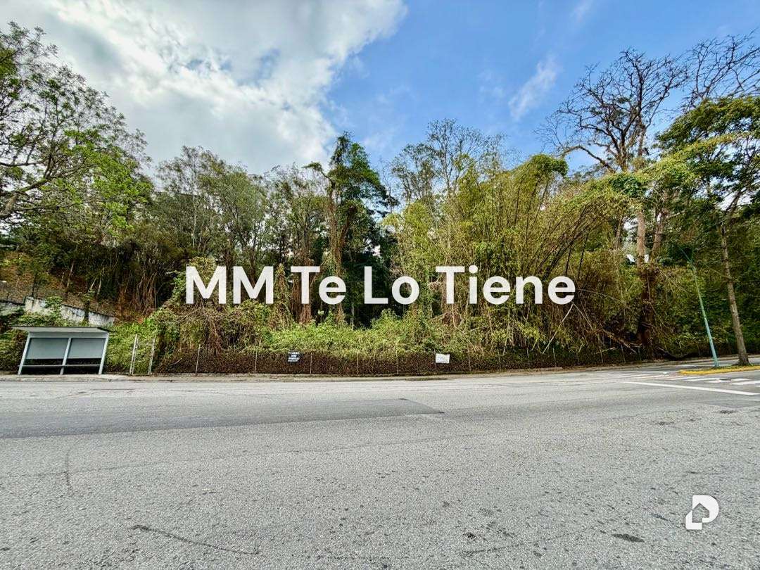 Terreno en Los Naranjos (del Cafetal), Caracas – 1