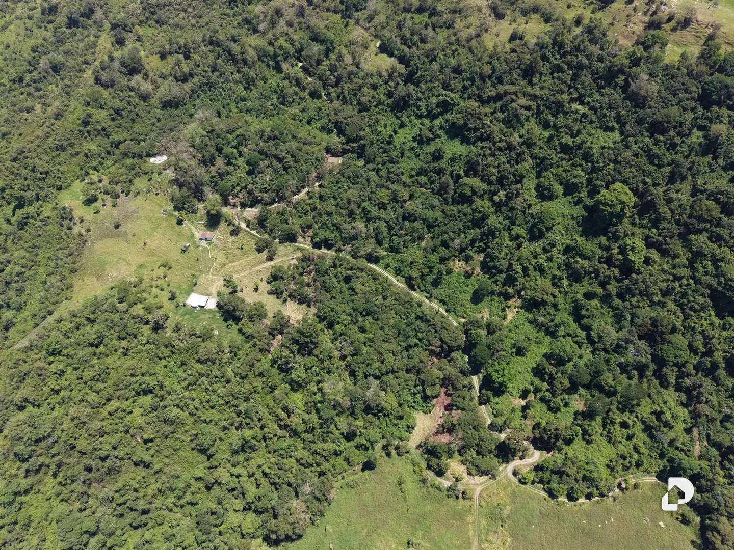 Finca en La Florida, Jají – 5