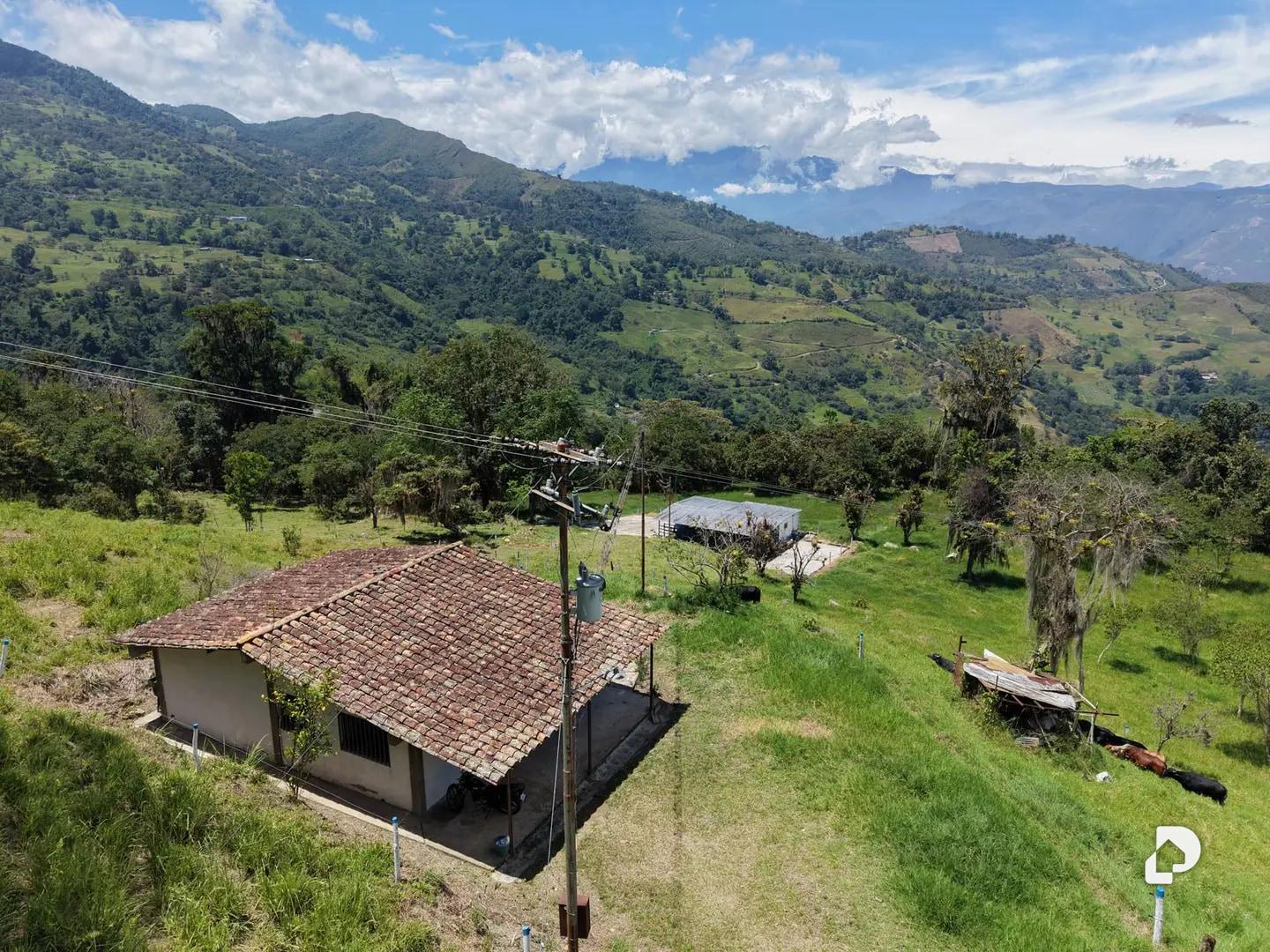 Finca en La Florida, Jají – 1