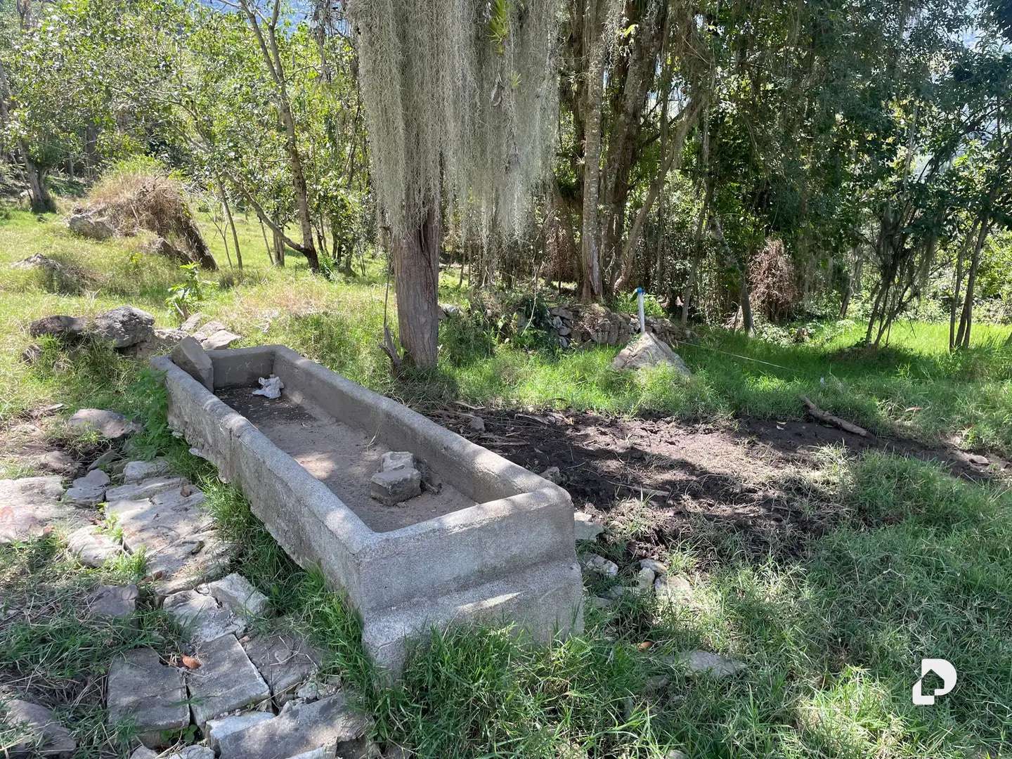 Finca en La Florida, Jají – 14