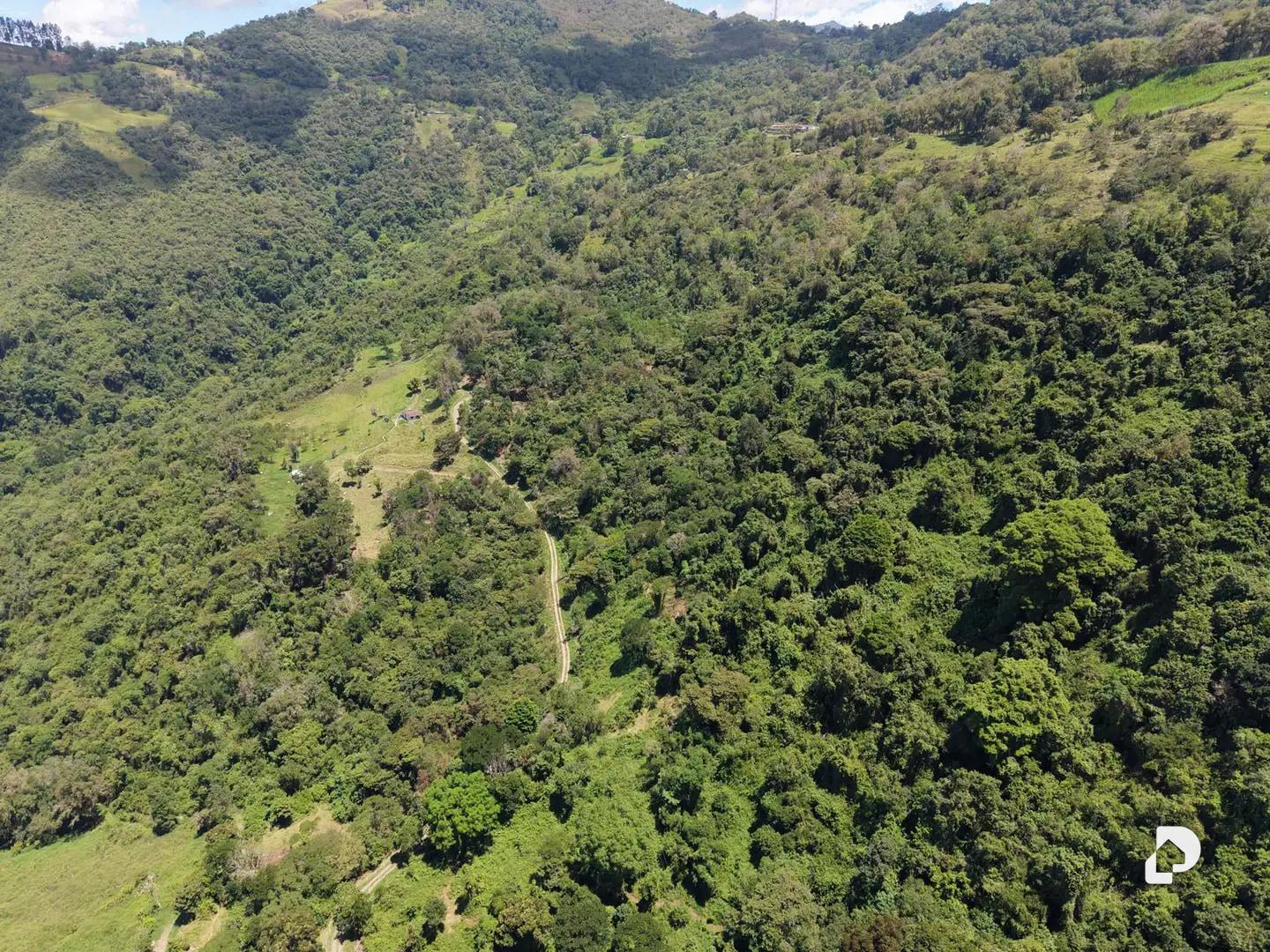 Finca en La Florida, Jají – 4