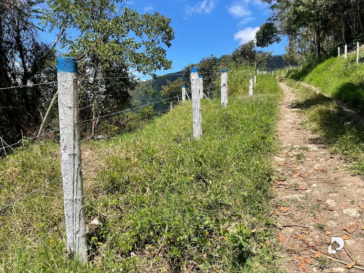 Finca en La Florida, Jají – 18