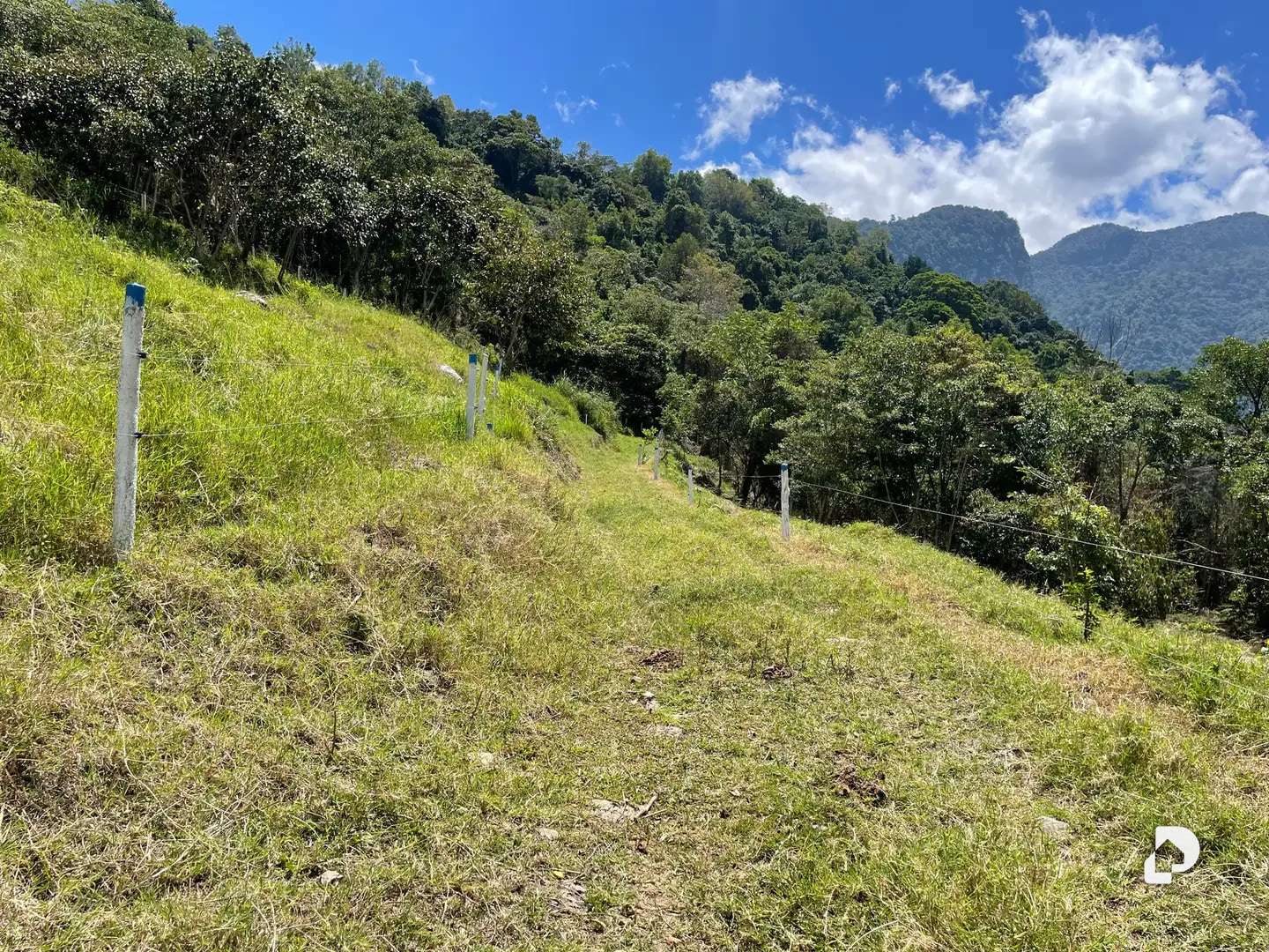 Finca en La Florida, Jají – 17