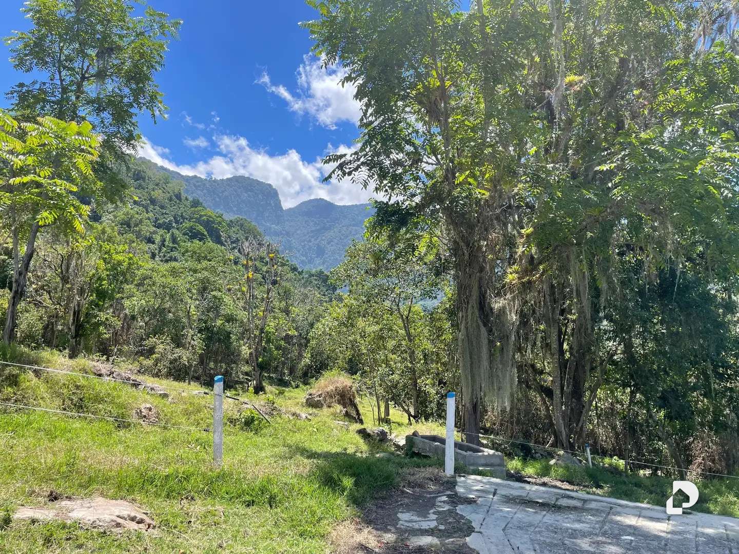 Finca en La Florida, Jají – 13