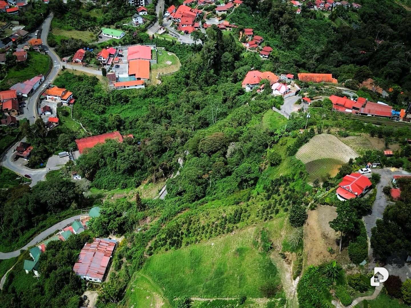 Terreno en Colonia Tovar – 1