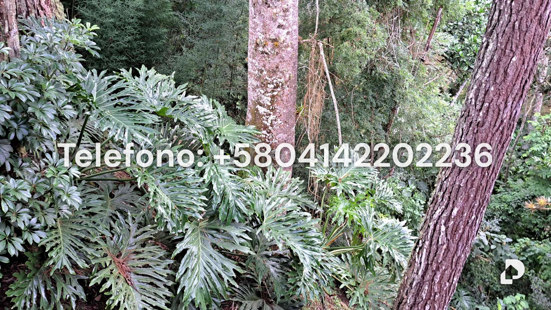 Casa en Alto Hatillo, Caracas – 37