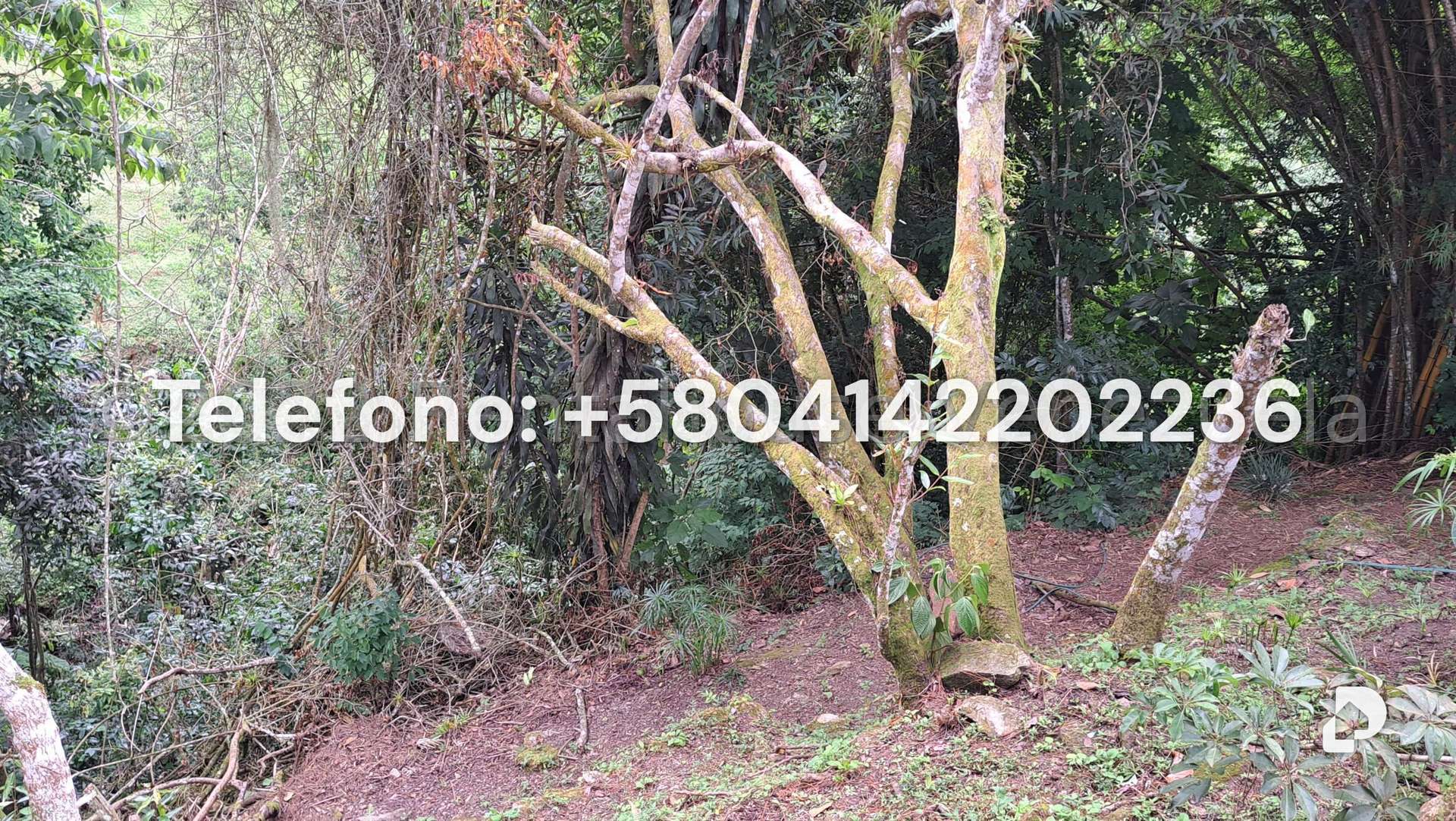 Casa en Alto Hatillo, Caracas – 34