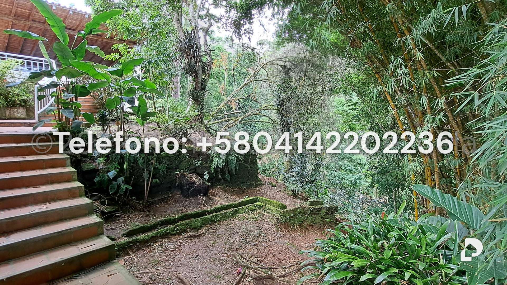 Casa en Alto Hatillo, Caracas – 23