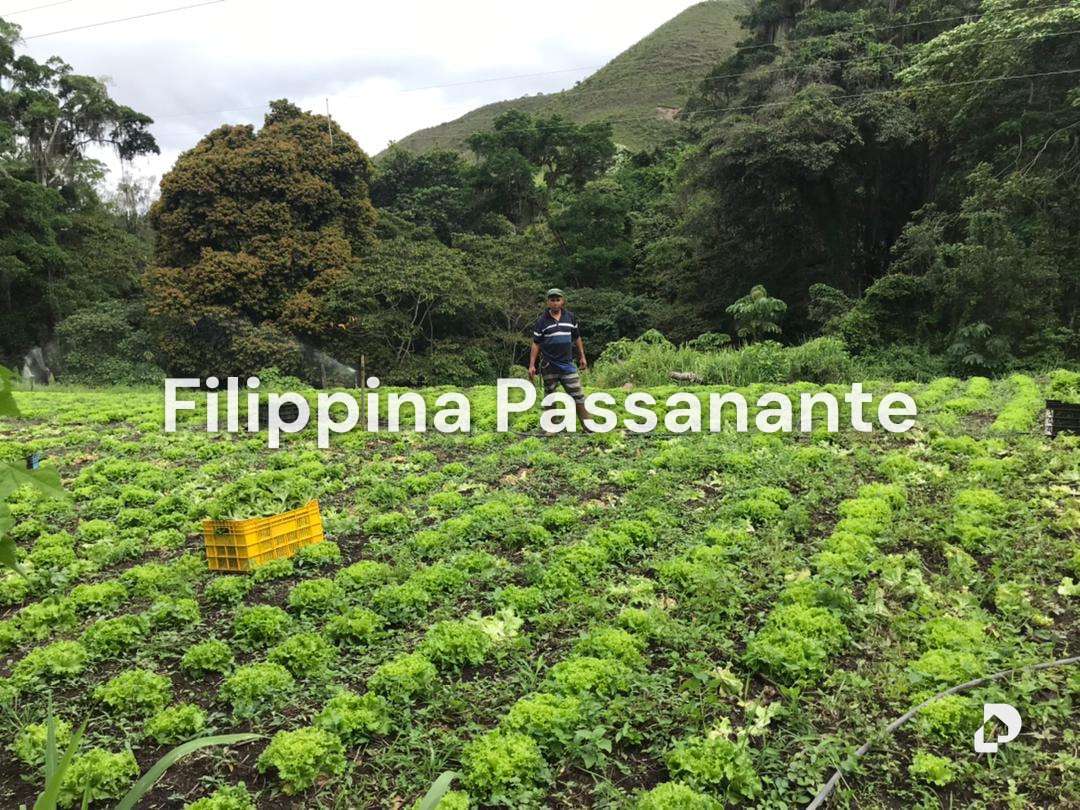 Finca en El Guácharo, Caripe – 8