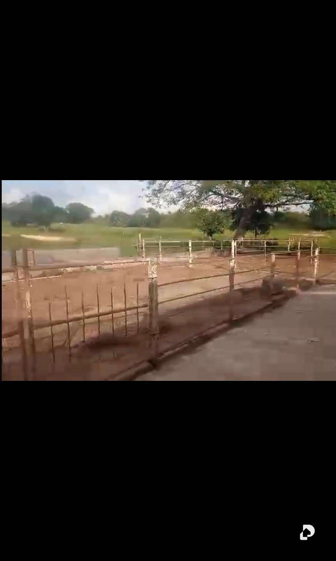 Finca en Rio Negro, Machiques – 1