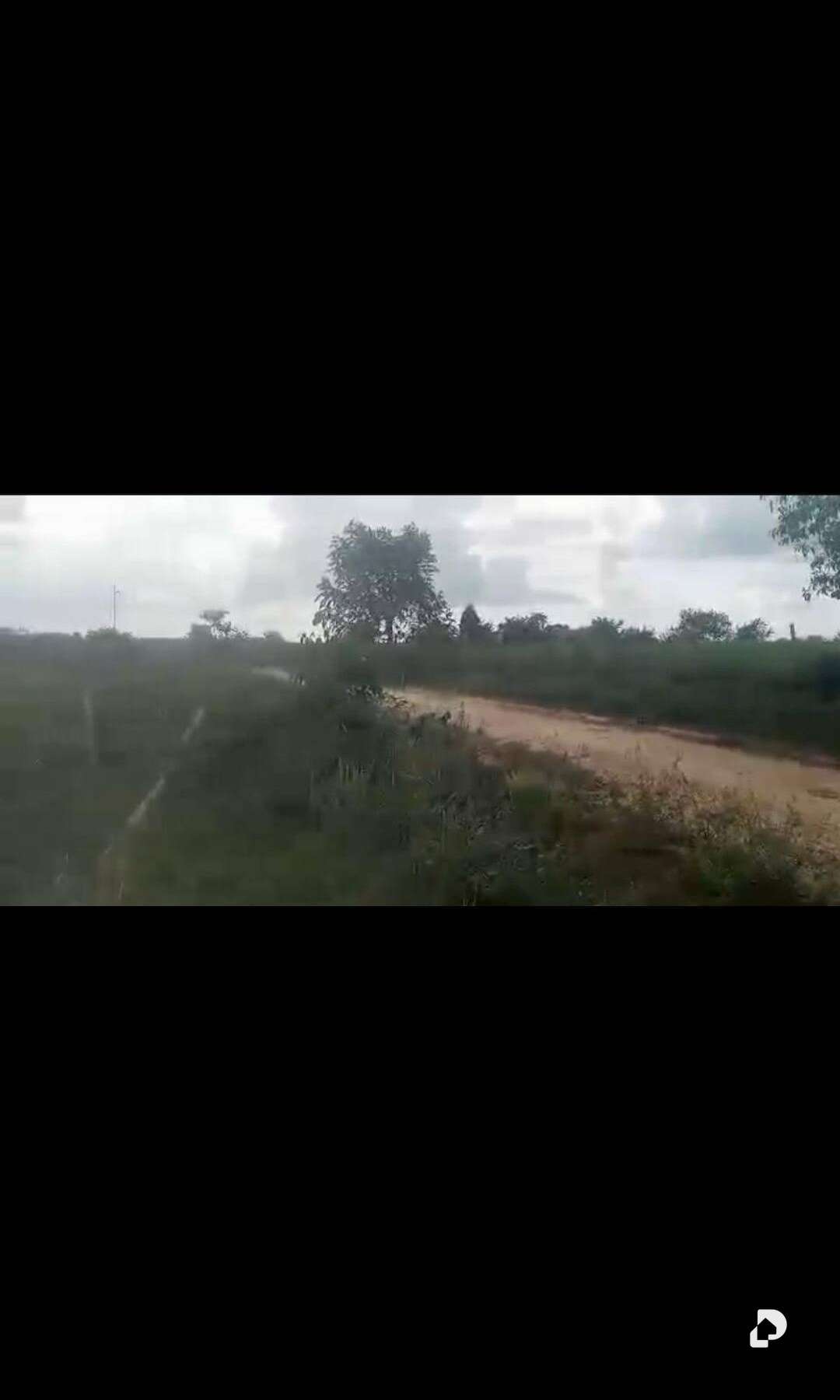 Finca en Rio Negro, Machiques – 8